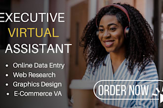 be your remote executive level assistant for admin  support va data entry