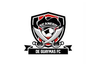 design high quality football club logo