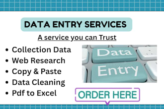 do fast excel data entry,web research,copy,paste convert pdf