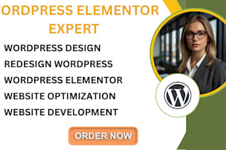 design or redesign responsive wordpress elementor website seo ready