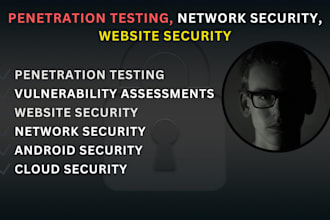 penetration testing, network security, website security