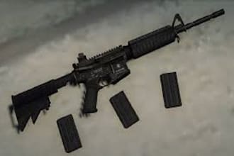 create fivem custom gun ,fivem gun, fivem asset ,fivem gun store mlo, fivem ski