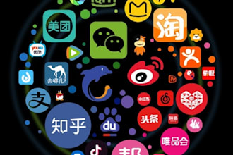 assist you to use china apps or websites, find request info