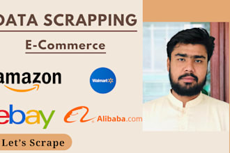 scrape amazon, walmart, ebay and other websites data