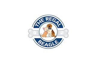 design custom fun pet boarding and grooming logo