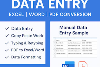 do data entry in excel sheet for small companies or personal