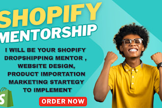 do shopify dropshipping mentor shopify consultant certified shopify shop mentor