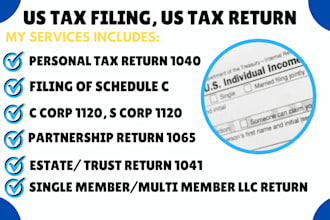 minimize your US tax filings, form 1040 1065 1120 5472 and  us sales tax returns