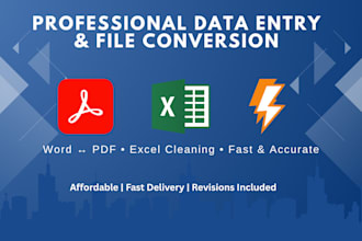 do fast and accurate data entry or file conversion