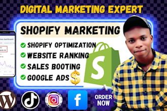 do organic website ranking, shopify optimization, shopify traffic, sales boost