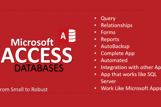 expertly design and develop your microsoft access database