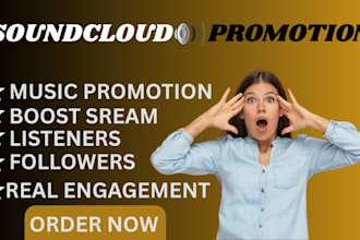 be your professional soundcloud promotion for music track