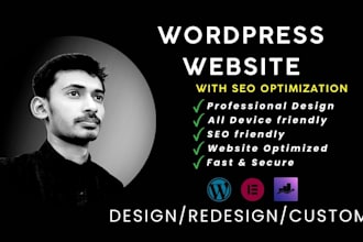 build a professional wordpress website with SEO optimization
