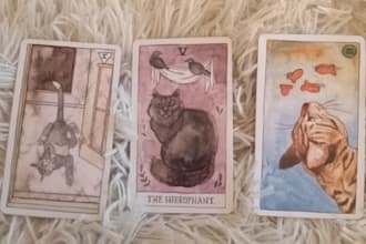guide you with soft, intuitive tarot wisdom