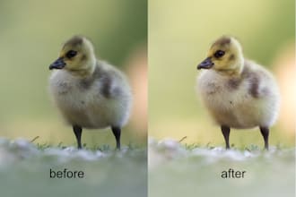 edit your images in lightroom