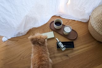 create ugc videos to promote your brand authentically