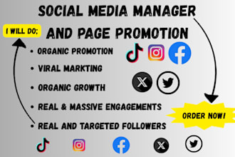 manage twitter marketing, organic tiktok promotion and fb for followers growth
