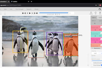 accurately annotate images for ai and machine learning