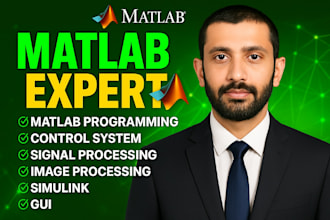 do matlab programming and simulations