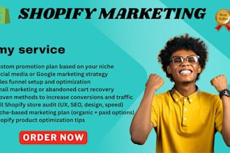 audit promote market your shopify store to increase sales