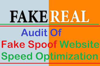 audit of fake spoof website speed optimization