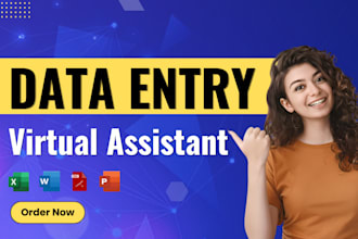 do excel data entry, virtual assistant, file conversion, typing