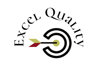 perform manual software QA testing and refine business requirements