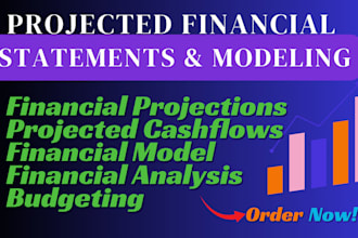prepare financial forecast, cashflow and projections