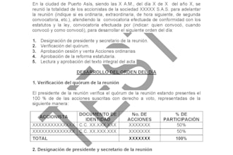 write or review legal documents in spanish with professional accuracy