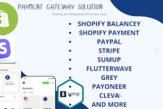 expertly integrate and set up payment gateways for your ecommerce business