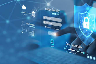provide network and security consultation