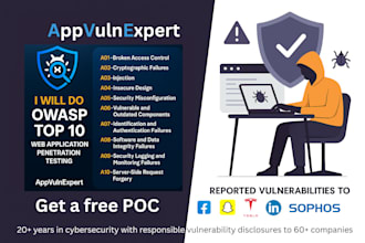 perform web application penetration testing with detailed report