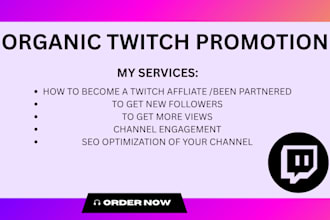 do twitch channel promotion, live viewers and active chatters, twitch promotion