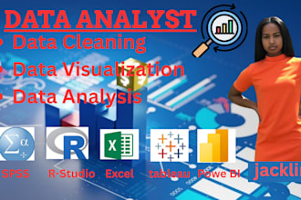 do statistical data analysis and visualization using excel, r, python and spss