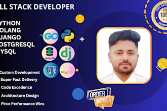 provide golang and python services for your needs