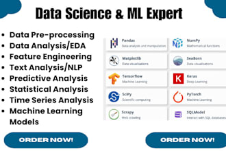 do data science project, nlp,  build machine learning, deep learning models