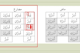 teach dars e nizami with deep understanding and classical approach