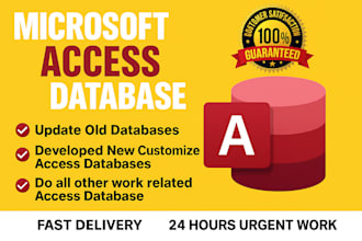develop microsoft access database application, access project