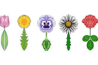 draw you a flower with alcohol markers technique
