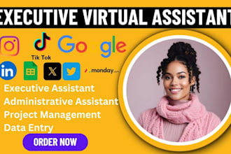 be administrative executive virtual assistant social media manager data entry