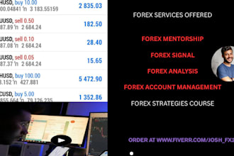 mentor highly profit winrate forex trading strategy