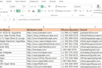 find the email, phone, address, websites excel data entry