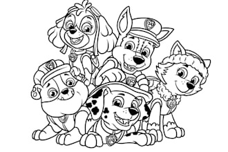 draw coloring book pages for children and adults