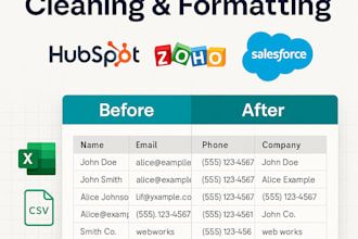 clean and format CRM data for hubspot, zoho, salesforce
