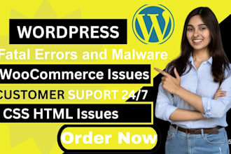 fix and clean wordpress plugin errors, theme issues, hacked wordpress website