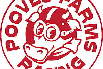 recreate a logo or design in illustrator