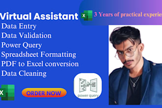 manage excel data entry datacleaning, formatting, pivot tables, or charts