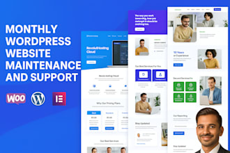 do monthly wordpress maintenance and support bug fixing, updates,help and more