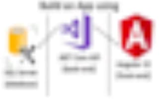 develop dotnet core angular application