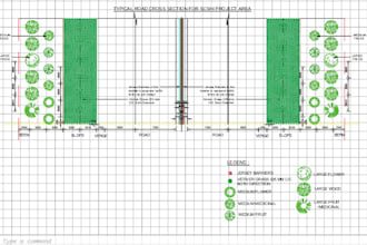 design a road section along with a plan view in autocad for only 69